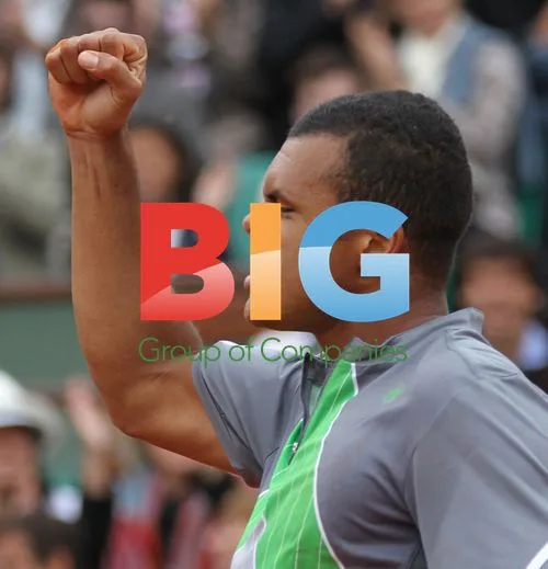 Tsonga reacts during French Open match