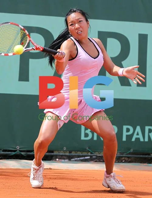 Vania King hits shot at French Open