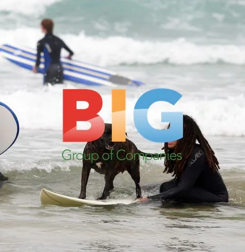 Dog Surfing on Fistral Beach