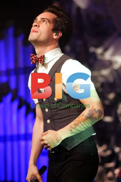 Panic at the Disco Concert in Florida