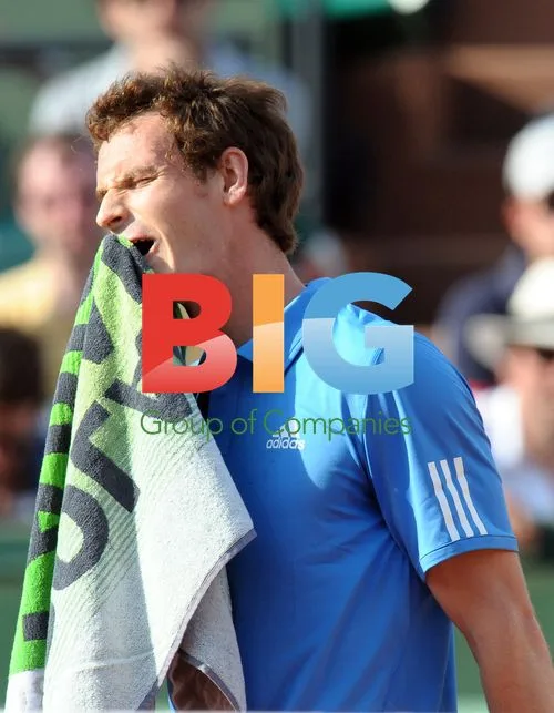 Andy Murray at 2011 French Open