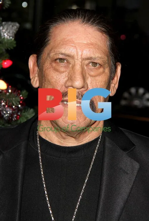 Stars at "A Very Harold & Kumar 3D Christmas" Premiere
