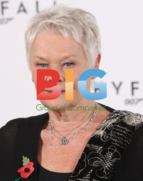 Skyfall Cast Photocall