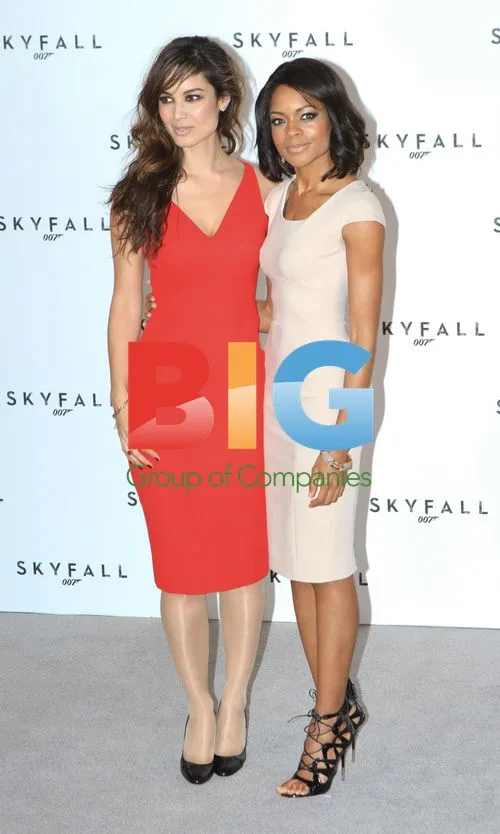 Skyfall Cast Unveiling