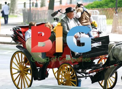 Sarah Jessica Parker on Central Park Carriage Ride