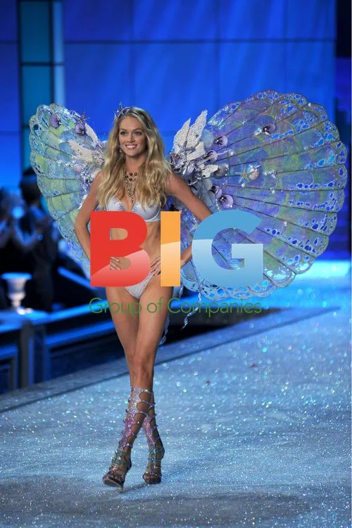 Anja Rubik, Victoria's Secret 2011 Fashion Show