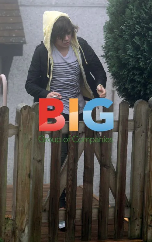 Frankie Cocozza After X Factor