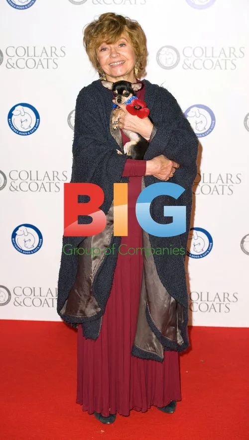 Celebs at Collars & Coats Gala Ball 2011 in London