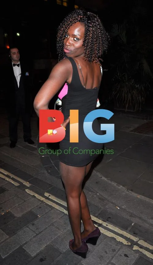 Big Brother Party Wrap