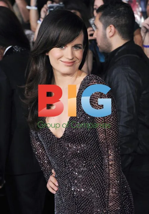 Elizabeth Reaser at 'Breaking Dawn' Premiere