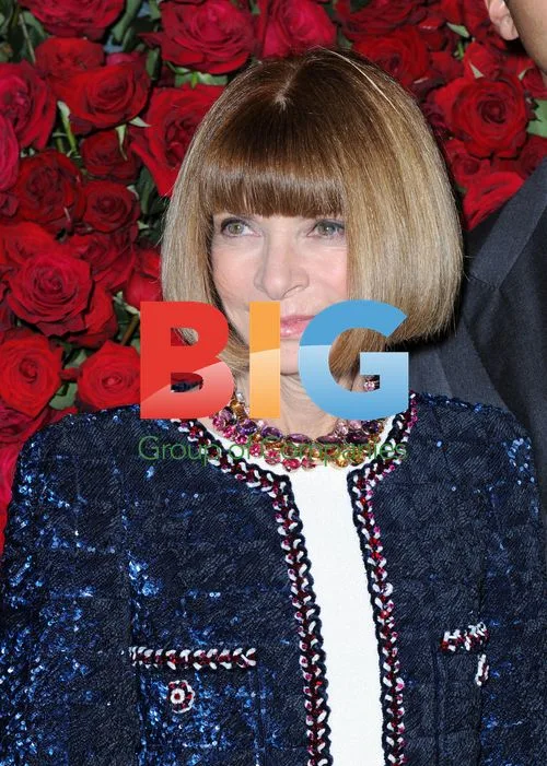 Anna Wintour at MoMA Film Benefit