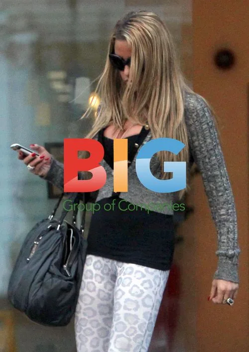 Katie Price and Peter Andre Leave London Law Office