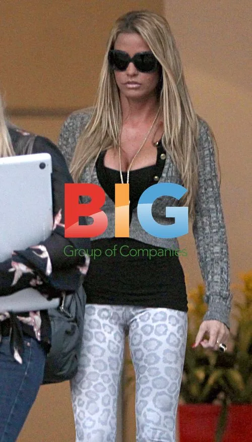 Katie Price and Peter Andre Leaving Lawyer's Office