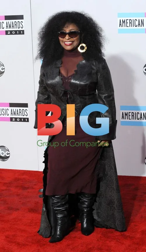 Chaka Khan at American Music Awards