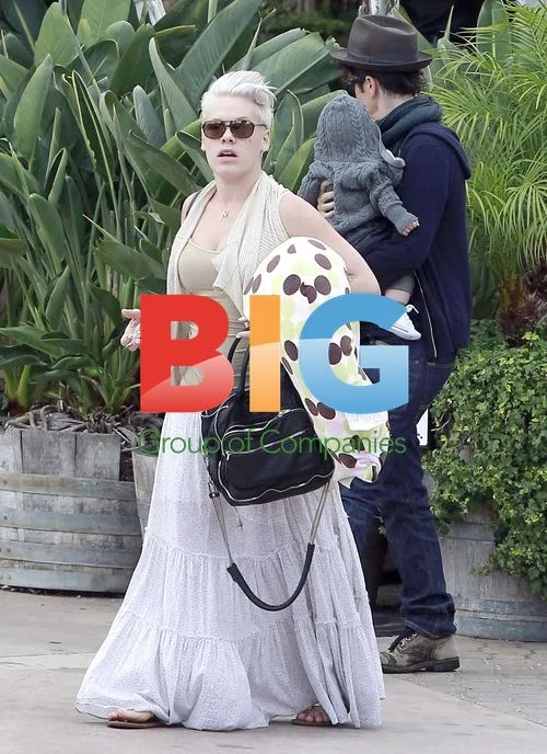 Singer Pink and family out in LA