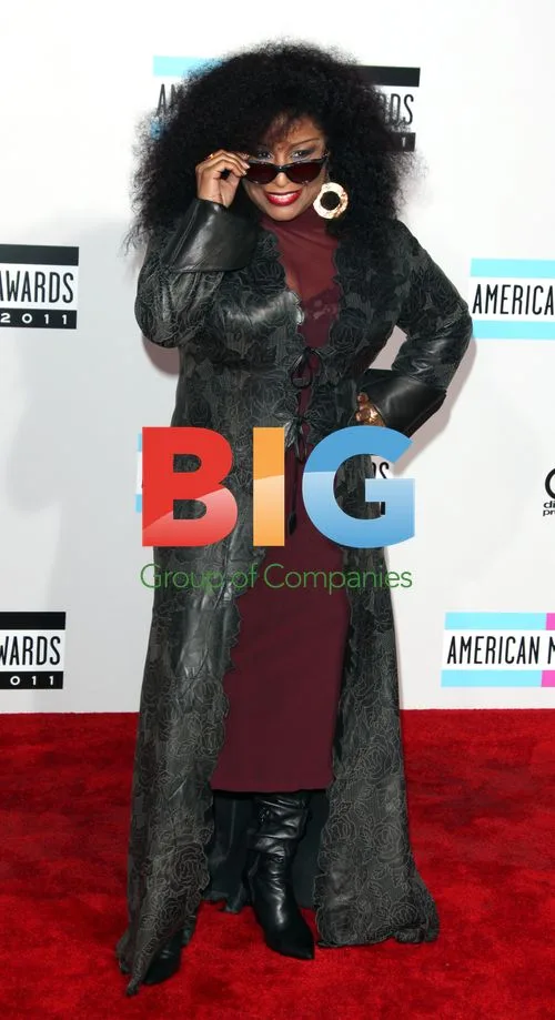 Chaka Khan at 2011 AMAs