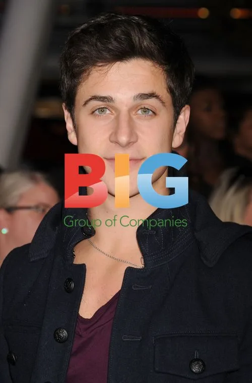 David Henrie at 'The Twilight Saga: Breaking Dawn' Premiere