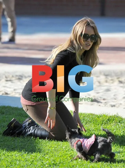 Hilary Duff Plays Catch With Pooch