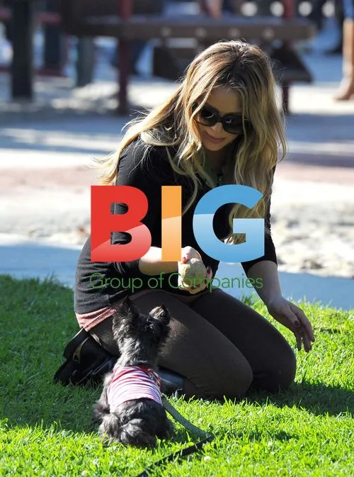 Hilary Duff and Mike Comrie Play Catch in Park