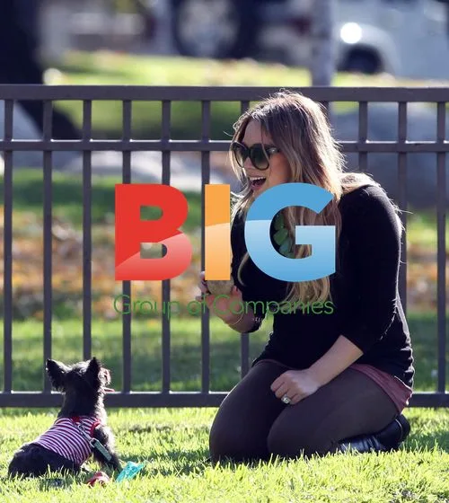 Hilary Duff and Mike Comrie Play Catch in LA