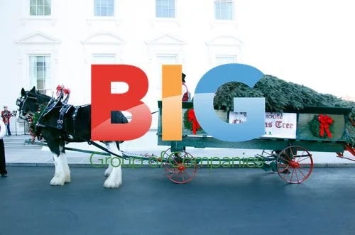 White House Christmas Tree Delivery