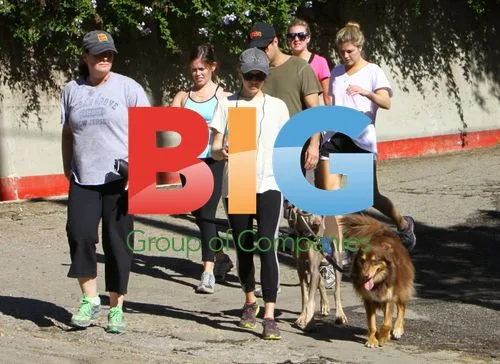 Amanda Seyfried walks dog in LA