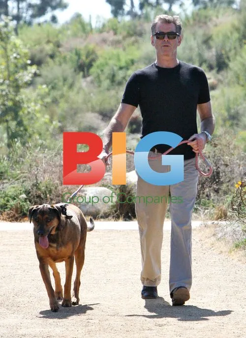 Pierce Brosnan Out in Malibu