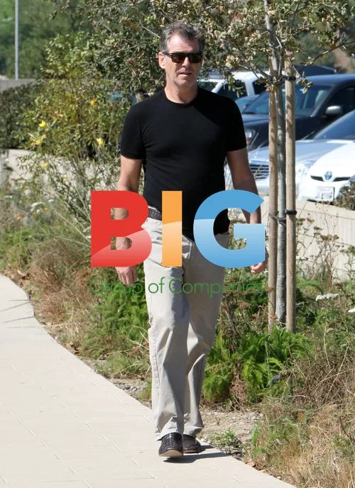 Pierce Brosnan out with son in Malibu