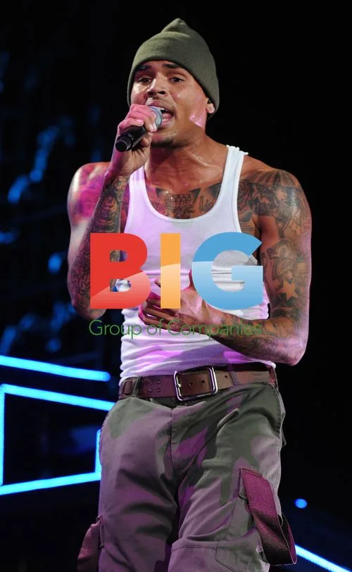 Chris Brown Performs on Fame Tour