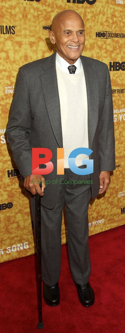 Harry Belafonte at "Sing Your Song" Premiere