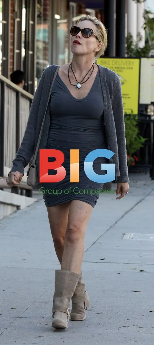 Sharon Stone Strolls with Son Quinn in LA