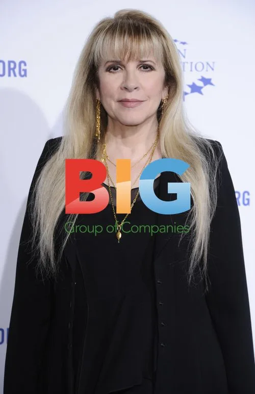 Stevie Nicks at Clinton Foundation Gala