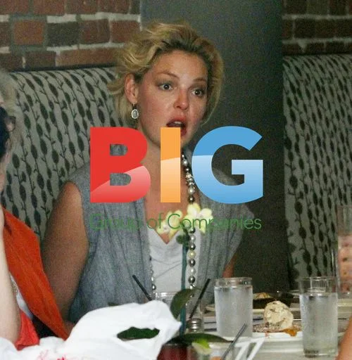 Katherine Heigl out with friends