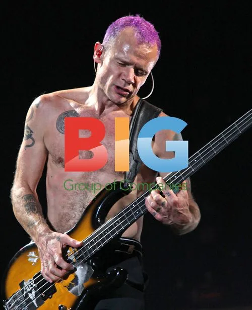 Red Hot Chili Peppers Live in Paris