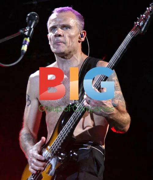 Red Hot Chili Peppers Live in Paris