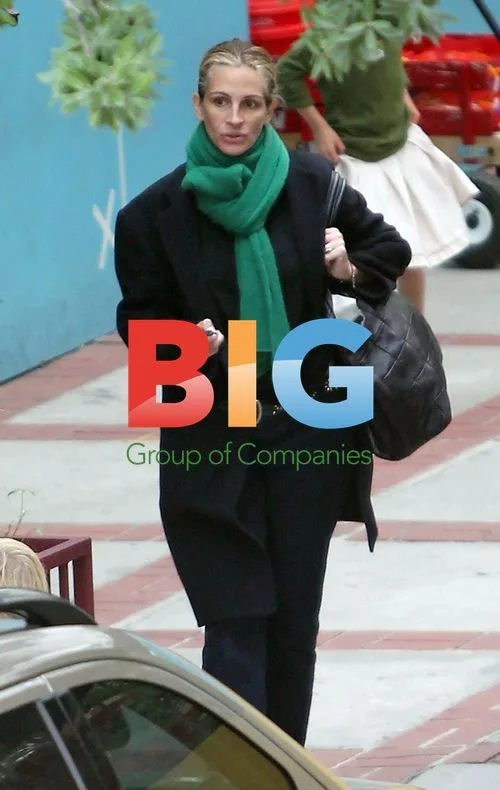 Julia Roberts picks up kids in LA