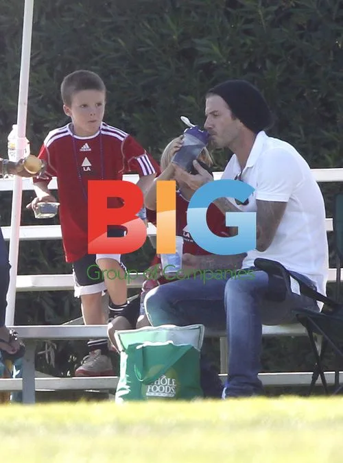 David Beckham with Sons