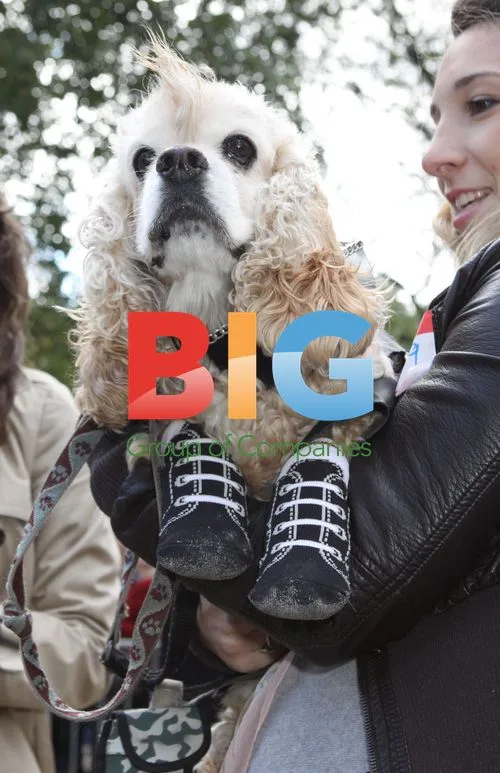 Annual Tompkins Square Halloween Dog Parade