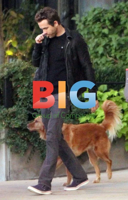 Blake Lively and Ryan Reynolds Leaving Hotel