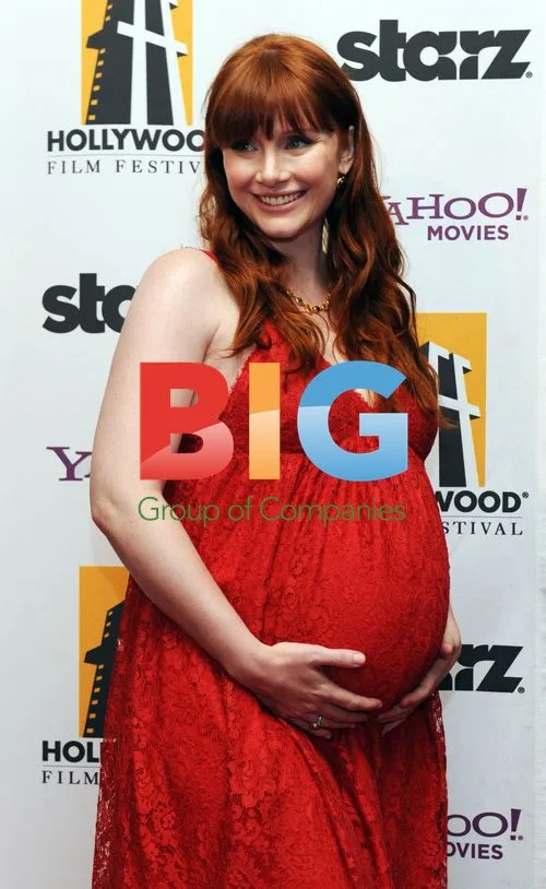 Bryce Dallas Howard at Hollywood Film Awards