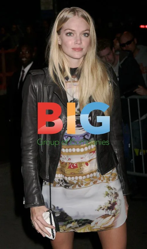 Lindsay Ellingson at 'The Rum Diary' Premiere