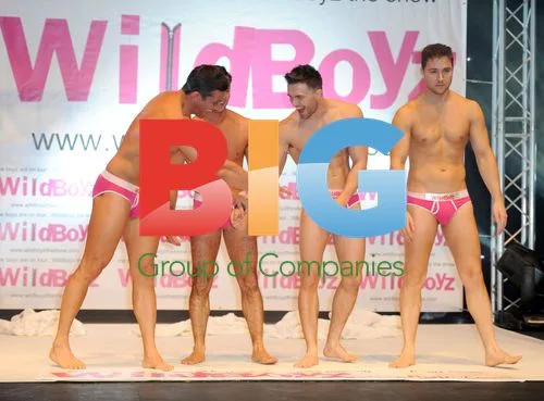 Wildboys Male Stripper Show Promotion