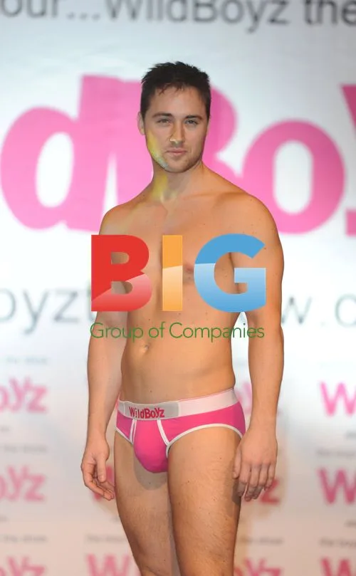 Four 'Wildboys' Promote New Stag Show