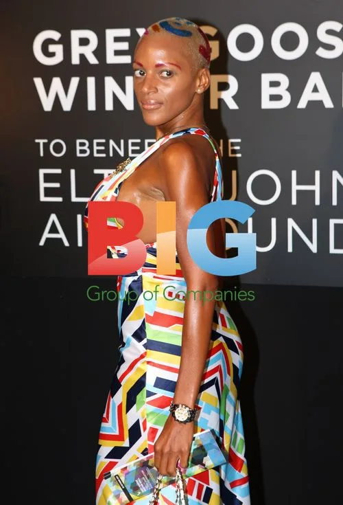 Guest at The Grey Goose Winter Ball 2011