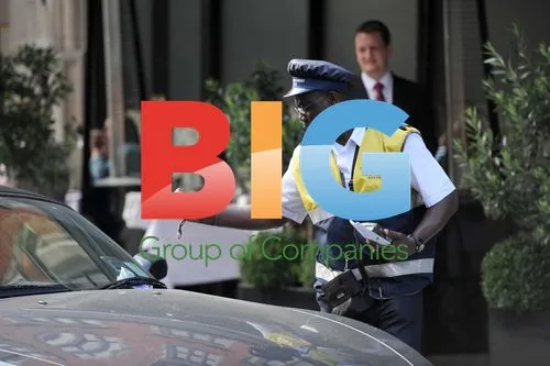 Pippa Middleton Gets Parking Ticket