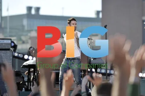 Adam Levine Performs at NFL Game