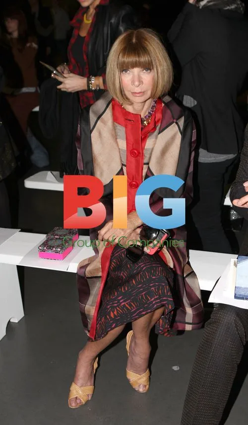Anna Wintour at Matthew Williamson Show
