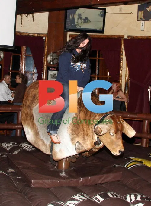 Bristol Palin Filmed at Bar