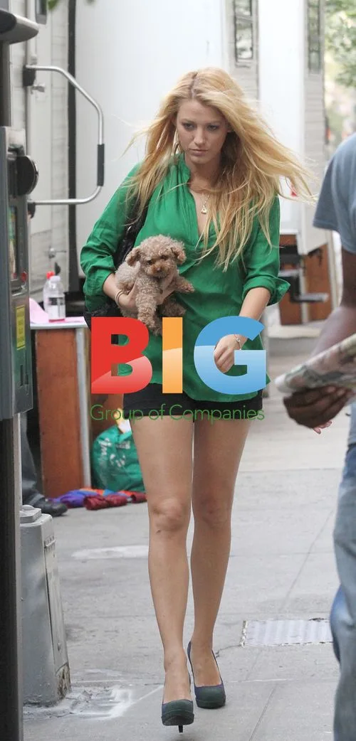 Blake Lively Leaving Trailer with Puppy