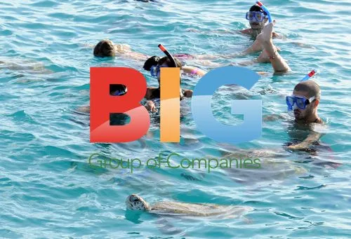 The Wanted members go swimming with turtles